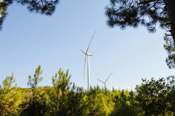 AI in Solar Energy