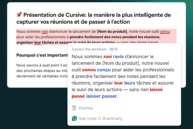 Grammarly-multi-feat