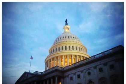 Government and policy