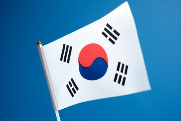 Korean Flag