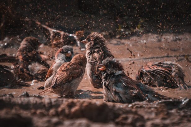 Social Engagement Activities Explained: A Guide for Stronger Connections