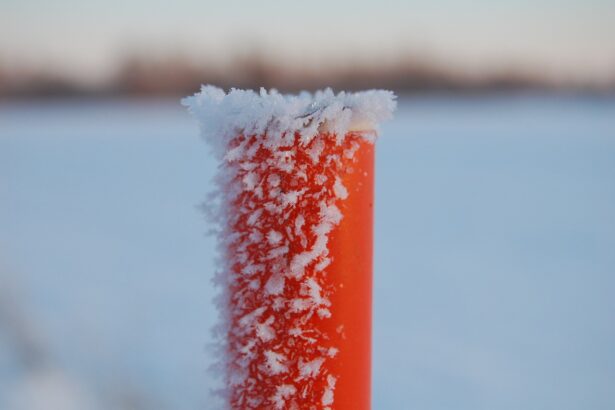 How to Write a Cold Email That Gets Replies: A Step-by-Step Guide